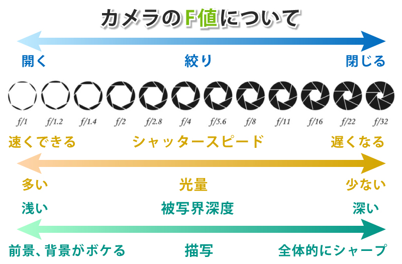 背景をぼかした写真が撮れるカメラレンズの種類と4つの撮り方を紹介 買取ステーション